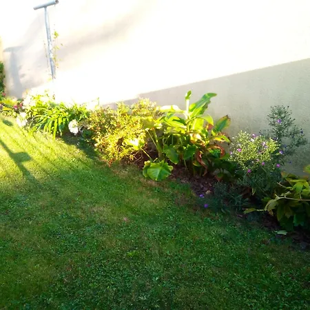 Maison Confortable A Avec Jardin Et Terrasse * Le Mans